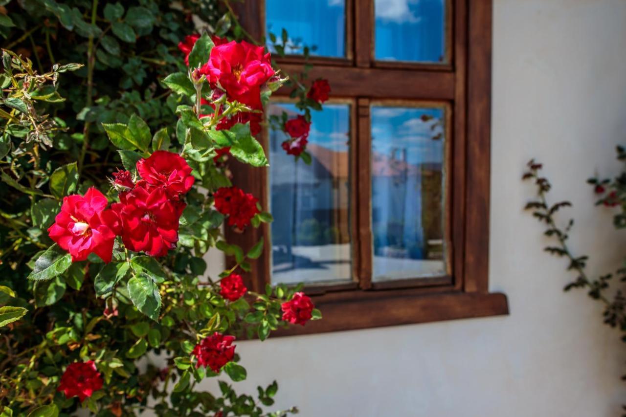 Woodland Resort Kragujevac Exterior foto